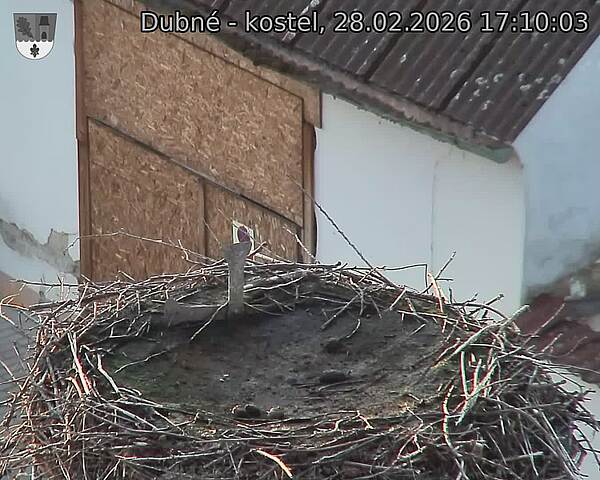 Capi_Dubne_20260228_171003.jpg (1350&nbsp;x&nbsp;1080)