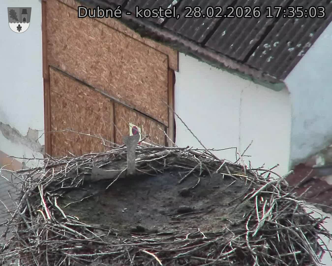 Capi_Dubne_20260228_173503.jpg (1350&nbsp;x&nbsp;1080)