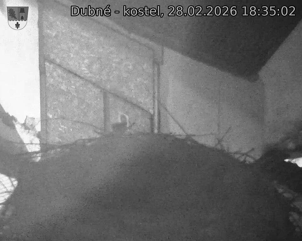 Capi_Dubne_20260228_183502.jpg (1350&nbsp;x&nbsp;1080)