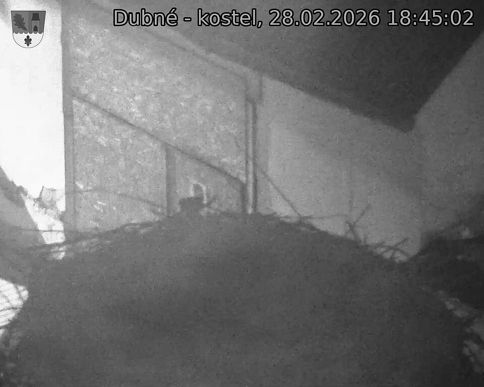 Capi_Dubne_20260228_184502.jpg (1350&nbsp;x&nbsp;1080)