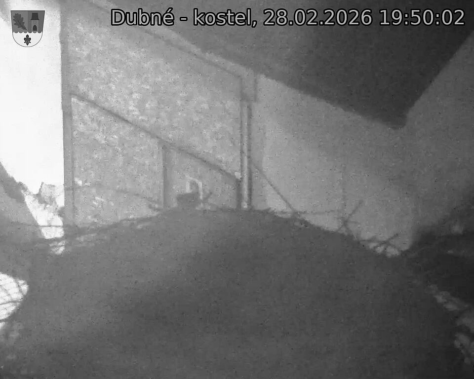 Capi_Dubne_20260228_195002.jpg (1350&nbsp;x&nbsp;1080)