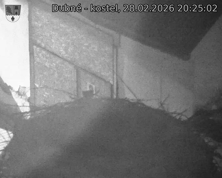 Capi_Dubne_20260228_202502.jpg (1350&nbsp;x&nbsp;1080)