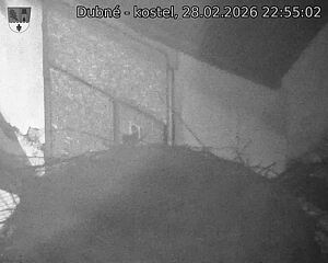 Capi_Dubne_20260228_225502.jpg (1350&nbsp;x&nbsp;1080)