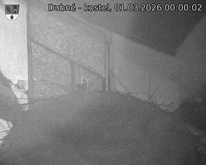 Capi_Dubne_20260301_000002.jpg (1350&nbsp;x&nbsp;1080)