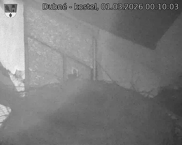 Capi_Dubne_20260301_001003.jpg (1350&nbsp;x&nbsp;1080)