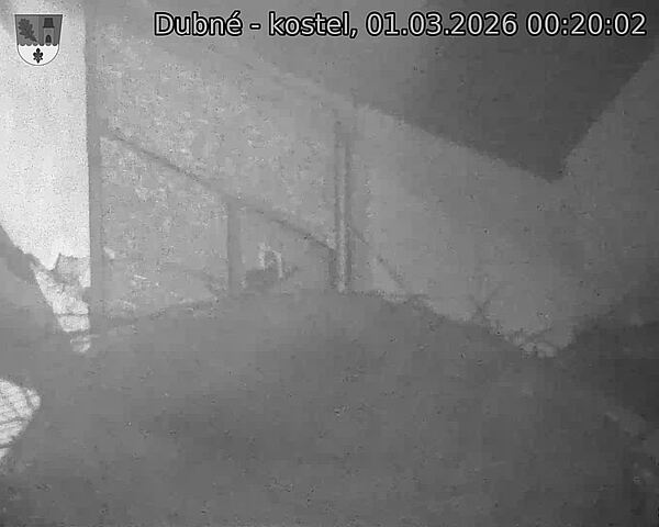 Capi_Dubne_20260301_002003.jpg (1350&nbsp;x&nbsp;1080)