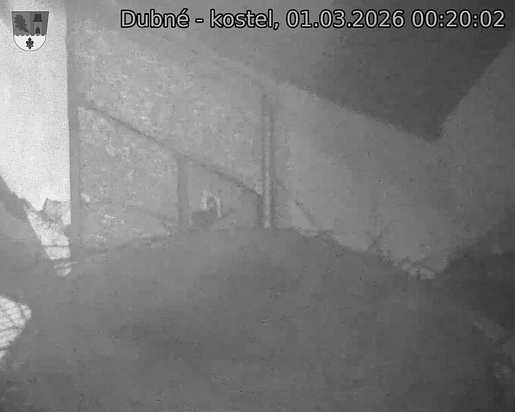 Capi_Dubne_20260301_002003.jpg (1350&nbsp;x&nbsp;1080)