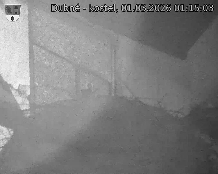 Capi_Dubne_20260301_011503.jpg (1350&nbsp;x&nbsp;1080)