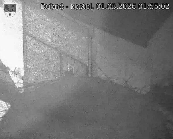 Capi_Dubne_20260301_015502.jpg (1350&nbsp;x&nbsp;1080)