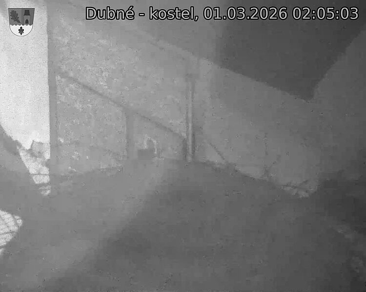 Capi_Dubne_20260301_020503.jpg (1350&nbsp;x&nbsp;1080)
