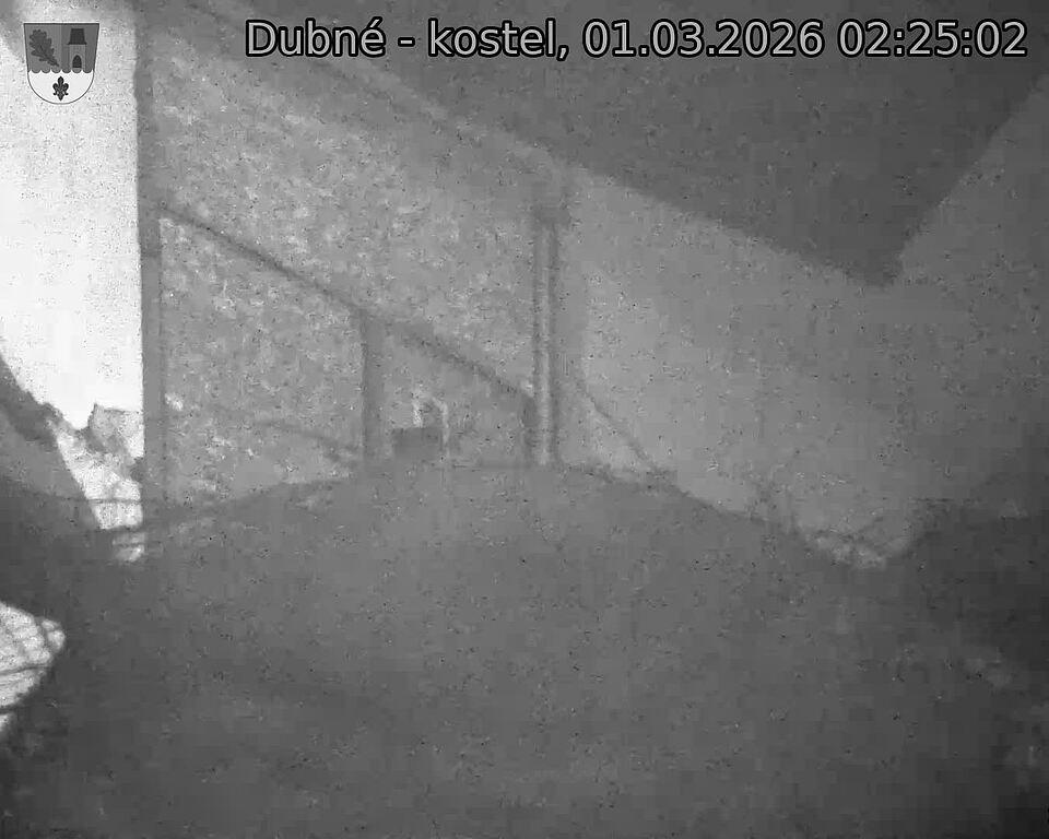 Capi_Dubne_20260301_022502.jpg (1350&nbsp;x&nbsp;1080)