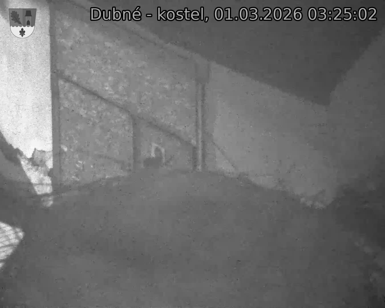 Capi_Dubne_20260301_032502.jpg (1350&nbsp;x&nbsp;1080)