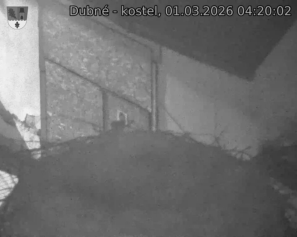 Capi_Dubne_20260301_042002.jpg (1350&nbsp;x&nbsp;1080)