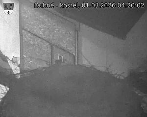 Capi_Dubne_20260301_042002.jpg (1350&nbsp;x&nbsp;1080)