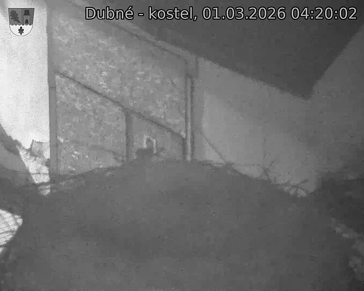 Capi_Dubne_20260301_042002.jpg (1350&nbsp;x&nbsp;1080)