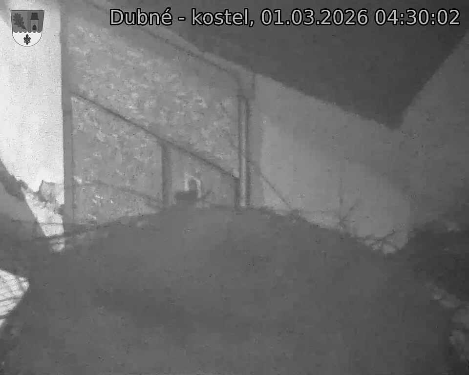 Capi_Dubne_20260301_043002.jpg (1350&nbsp;x&nbsp;1080)
