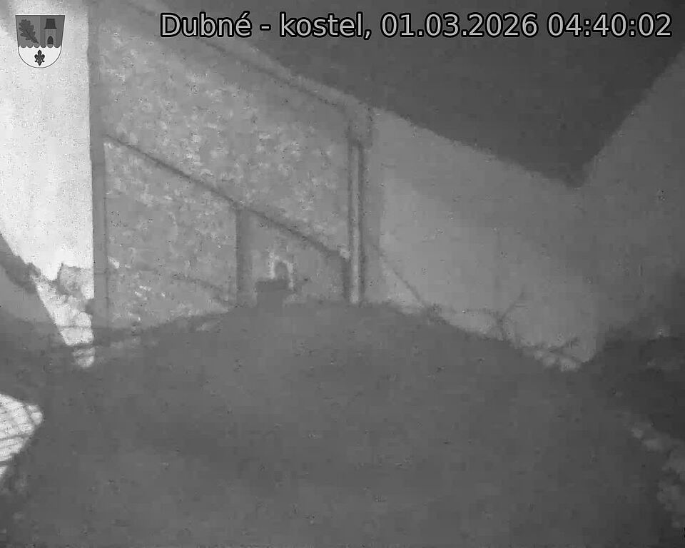 Capi_Dubne_20260301_044002.jpg (1350&nbsp;x&nbsp;1080)