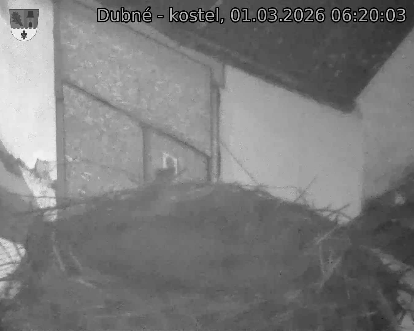 Capi_Dubne_20260301_062003.jpg (1350&nbsp;x&nbsp;1080)
