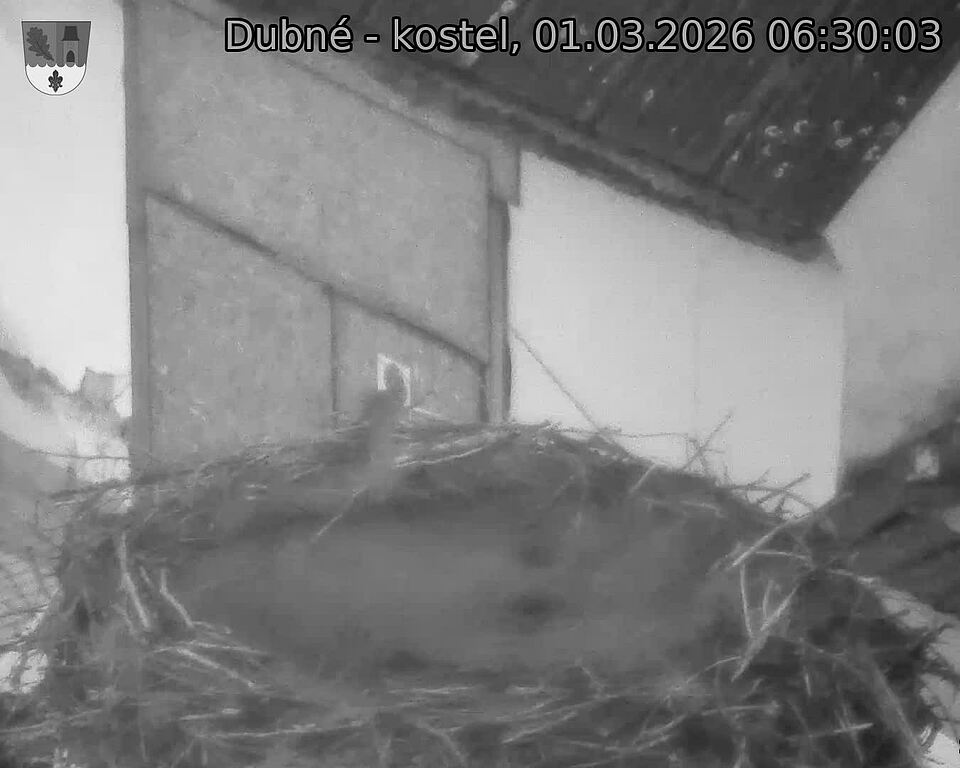 Capi_Dubne_20260301_063003.jpg (1350&nbsp;x&nbsp;1080)