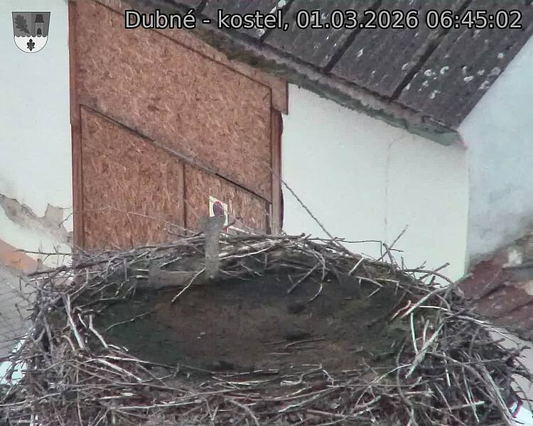 Capi_Dubne_20260301_064502.jpg (1350&nbsp;x&nbsp;1080)