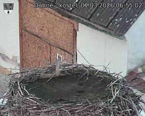 Capi_Dubne_20260301_065502.jpg (1350&nbsp;x&nbsp;1080)