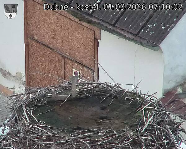Capi_Dubne_20260301_071002.jpg (1350&nbsp;x&nbsp;1080)