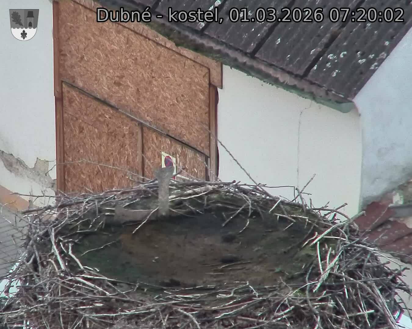 Capi_Dubne_20260301_072002.jpg (1350&nbsp;x&nbsp;1080)