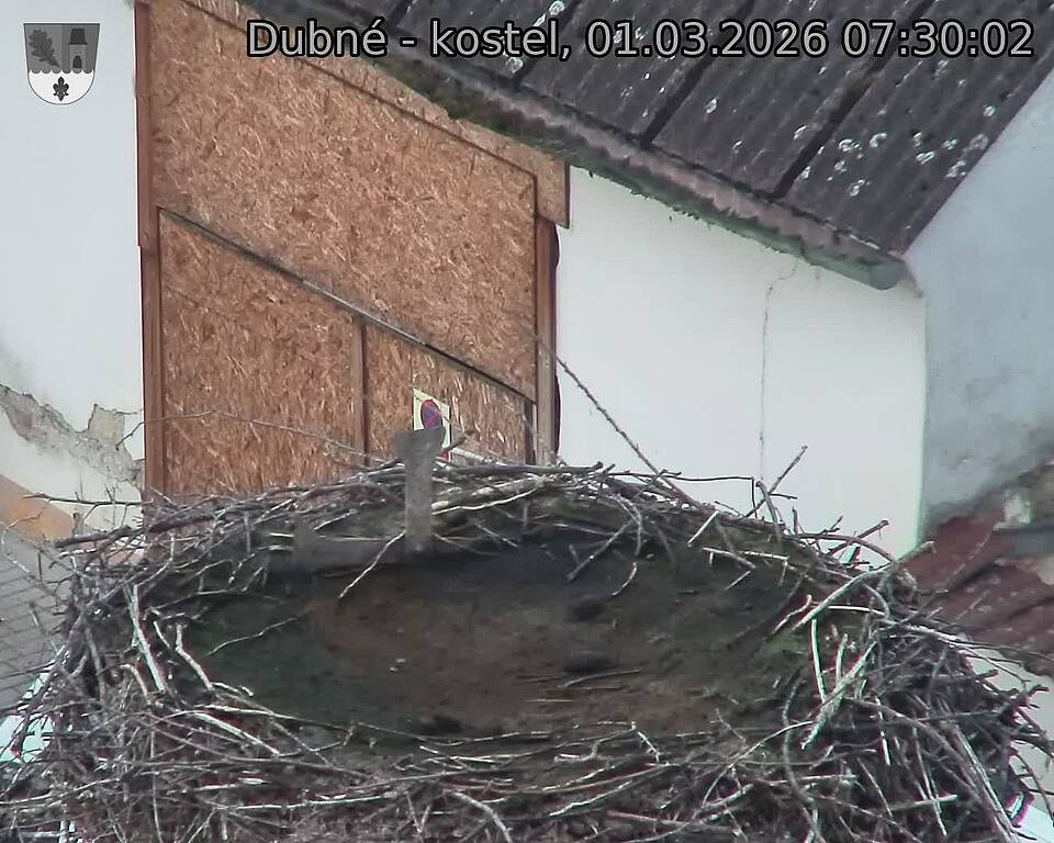 Capi_Dubne_20260301_073002.jpg (1350&nbsp;x&nbsp;1080)