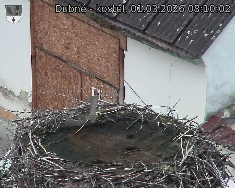 Capi_Dubne_20260301_081002.jpg (1350&nbsp;x&nbsp;1080)