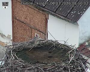 Capi_Dubne_20260301_081002.jpg (1350&nbsp;x&nbsp;1080)