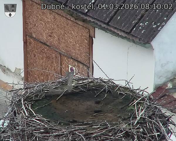 Capi_Dubne_20260301_081002.jpg (1350&nbsp;x&nbsp;1080)