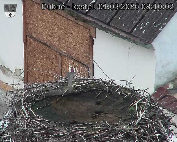 Capi_Dubne_20260301_081002.jpg (1350&nbsp;x&nbsp;1080)