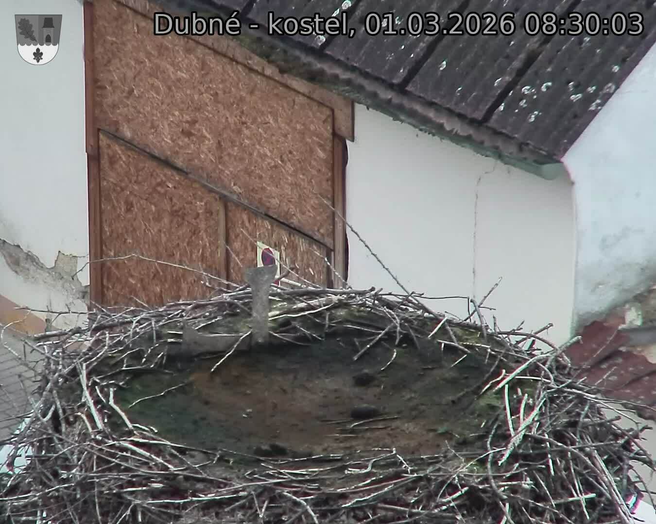 Capi_Dubne_20260301_083003.jpg (1350&nbsp;x&nbsp;1080)