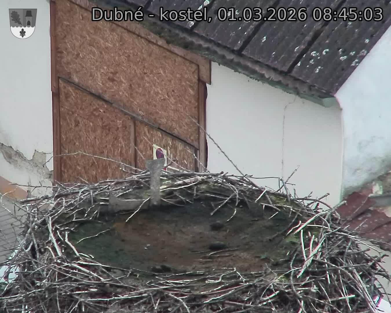 Capi_Dubne_20260301_084503.jpg (1350&nbsp;x&nbsp;1080)
