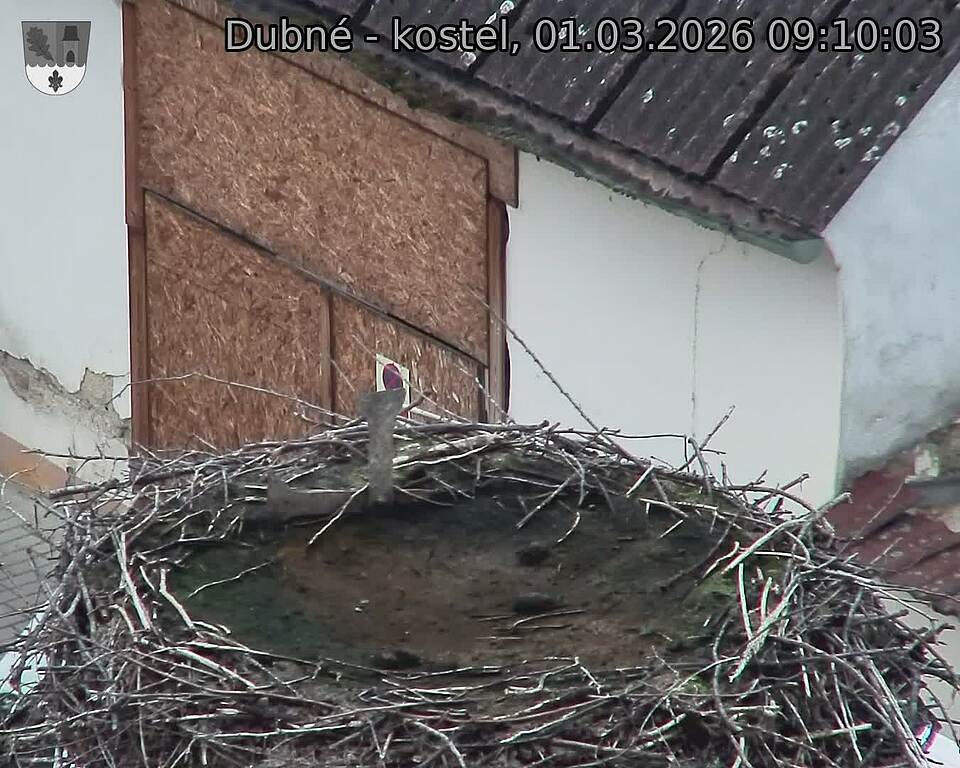 Capi_Dubne_20260301_091003.jpg (1350&nbsp;x&nbsp;1080)