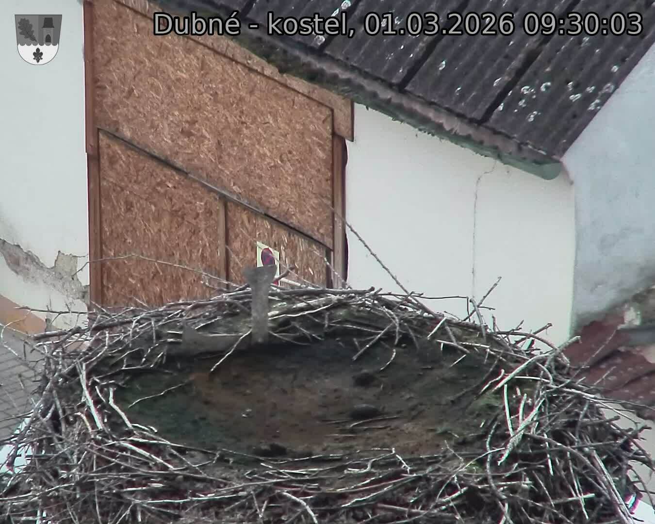 Capi_Dubne_20260301_093003.jpg (1350&nbsp;x&nbsp;1080)