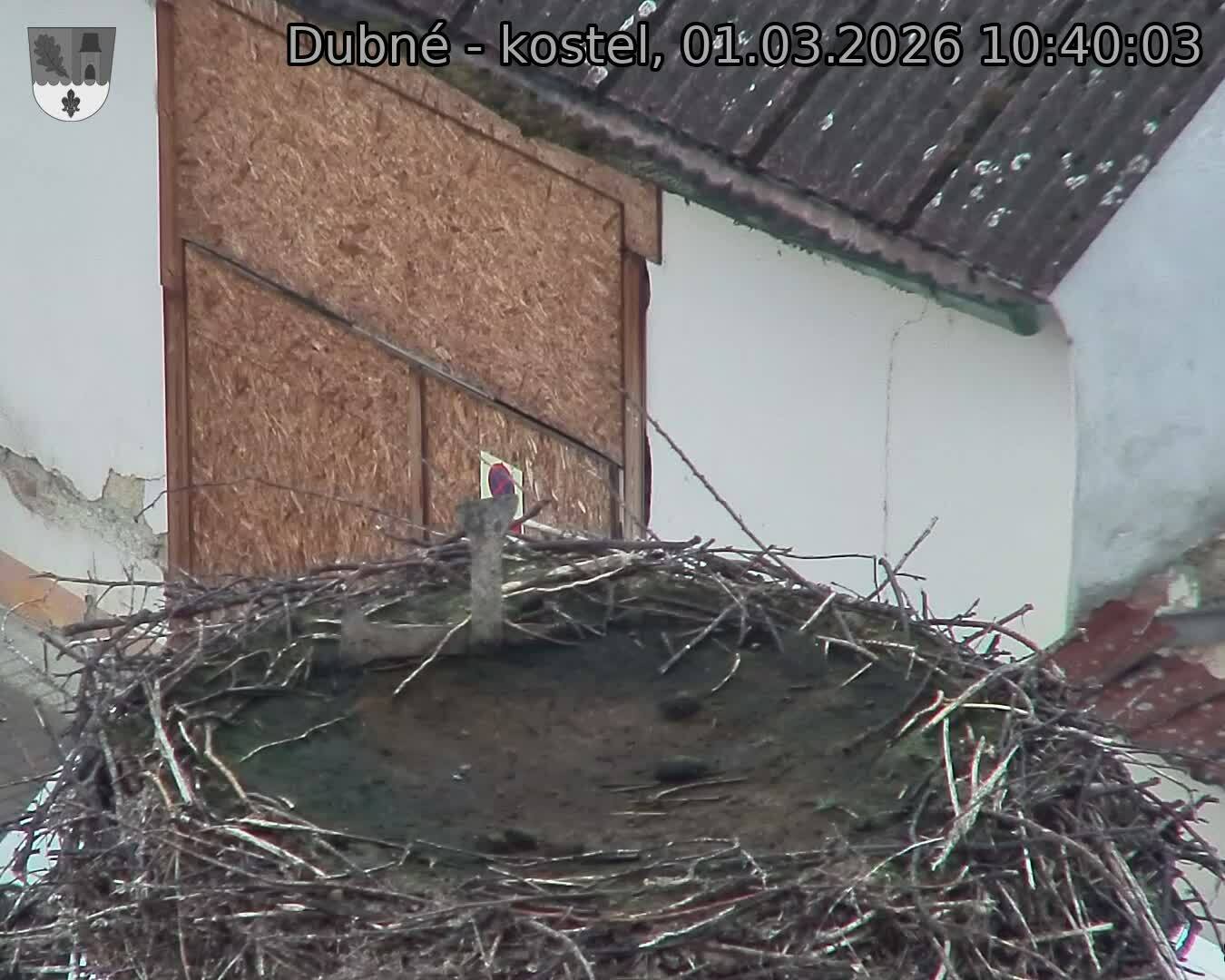 Capi_Dubne_20260301_104003.jpg (1350&nbsp;x&nbsp;1080)