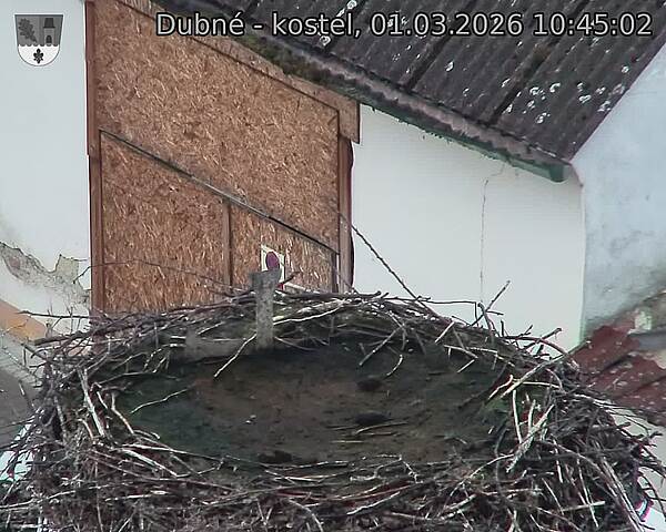Capi_Dubne_20260301_104502.jpg (1350&nbsp;x&nbsp;1080)