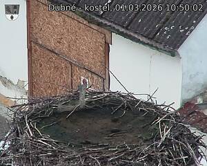 Capi_Dubne_20260301_105002.jpg (1350&nbsp;x&nbsp;1080)