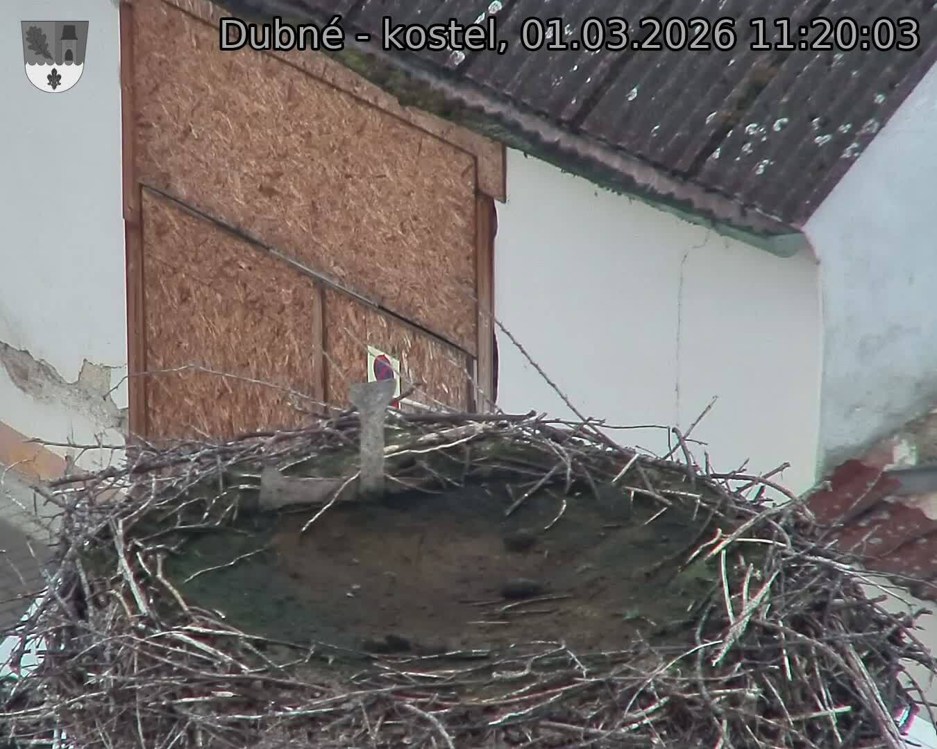Capi_Dubne_20260301_112003.jpg (1350&nbsp;x&nbsp;1080)