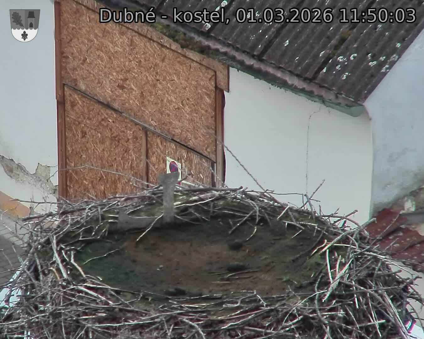 Capi_Dubne_20260301_115003.jpg (1350&nbsp;x&nbsp;1080)