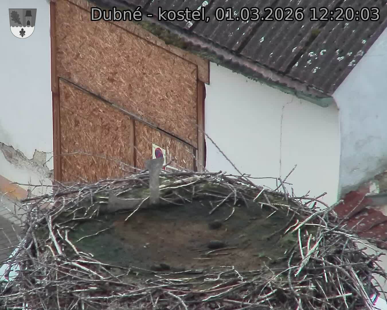 Capi_Dubne_20260301_122003.jpg (1350&nbsp;x&nbsp;1080)