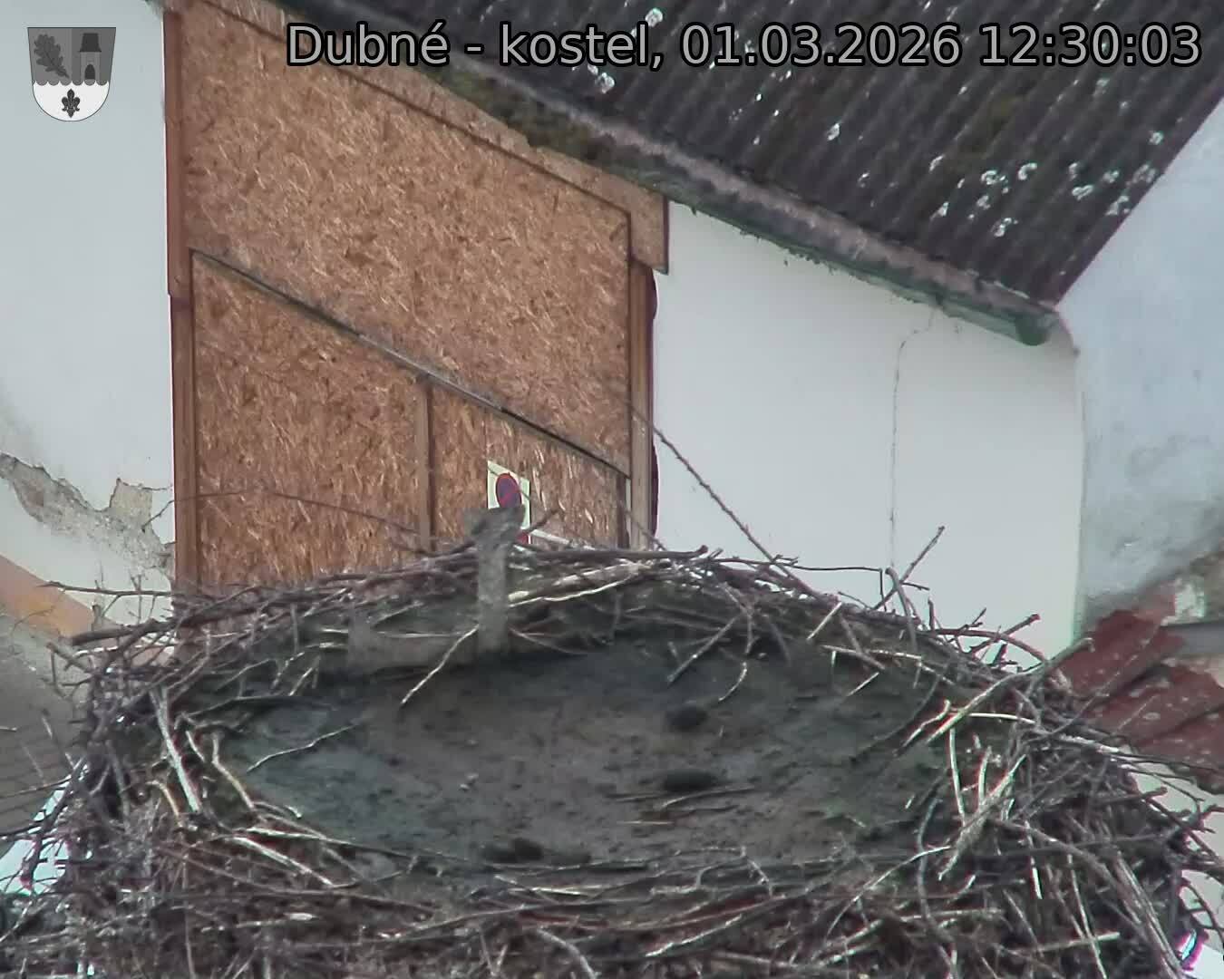 Capi_Dubne_20260301_123003.jpg (1350&nbsp;x&nbsp;1080)
