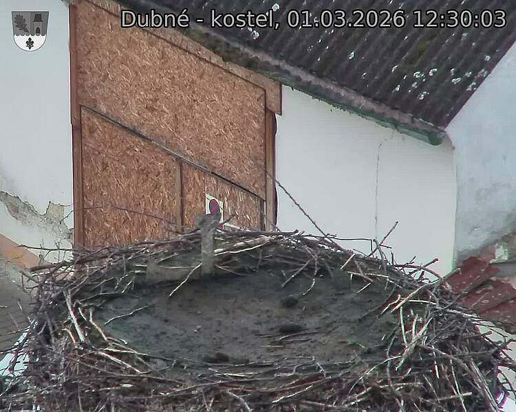 Capi_Dubne_20260301_123003.jpg (1350&nbsp;x&nbsp;1080)