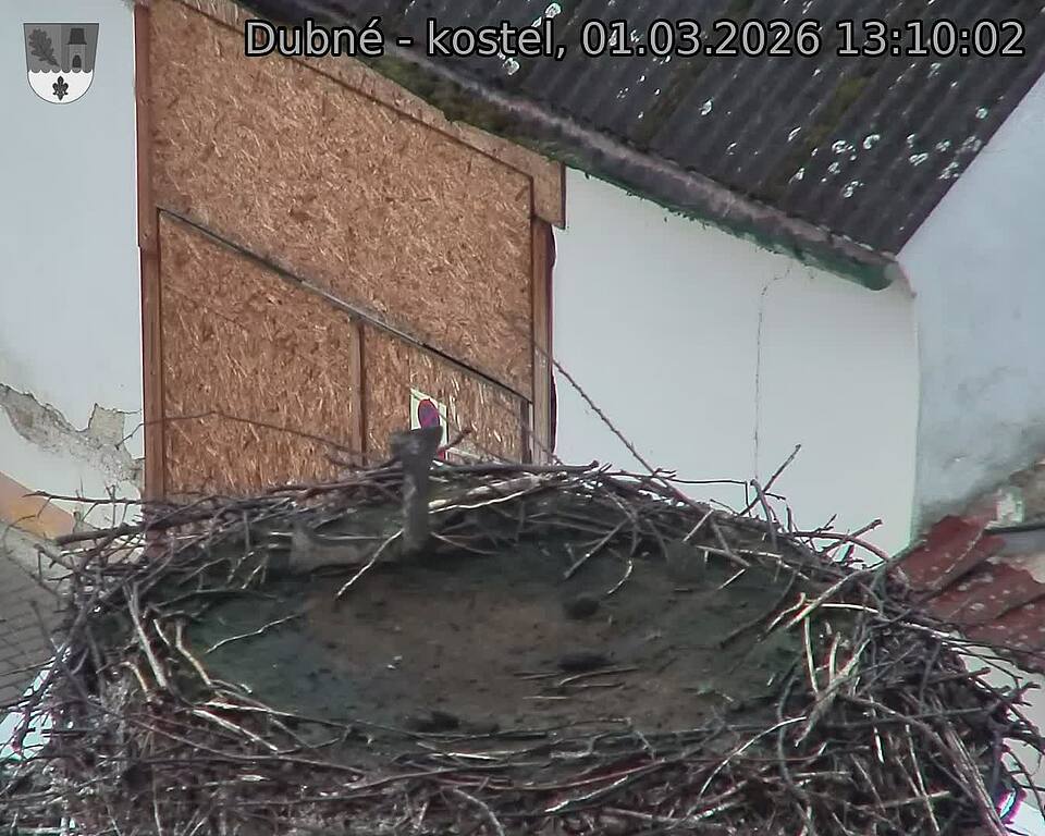 Capi_Dubne_20260301_131002.jpg (1350&nbsp;x&nbsp;1080)