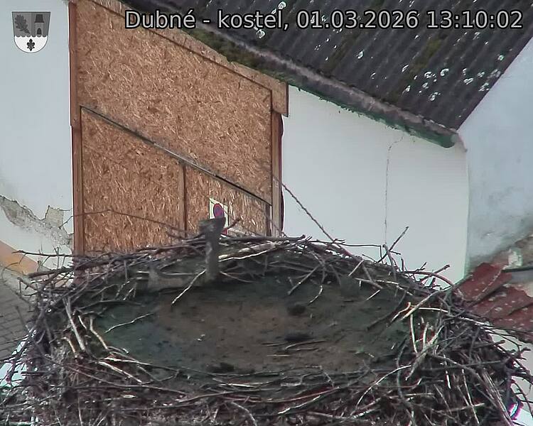Capi_Dubne_20260301_131002.jpg (1350&nbsp;x&nbsp;1080)