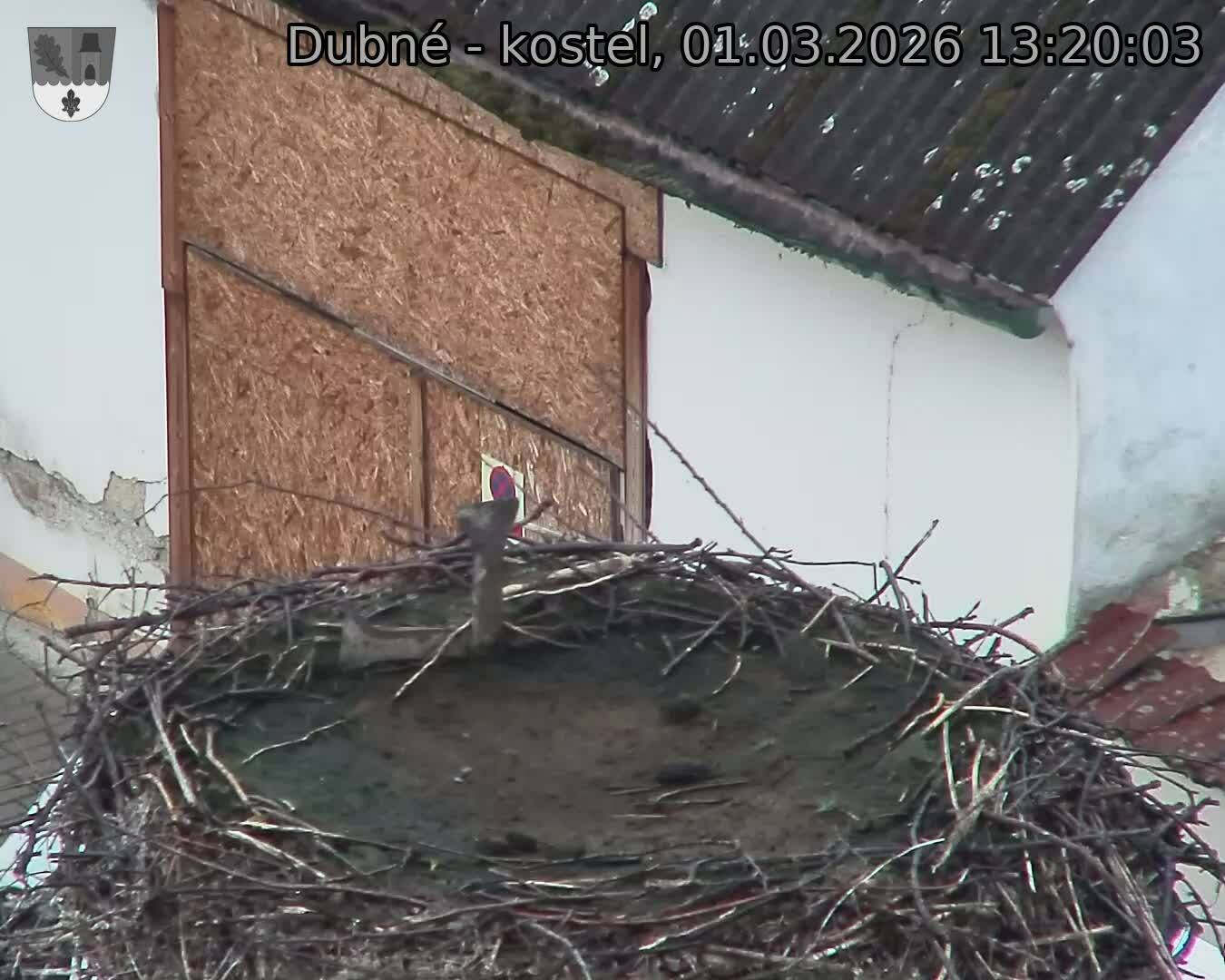 Capi_Dubne_20260301_132003.jpg (1350&nbsp;x&nbsp;1080)