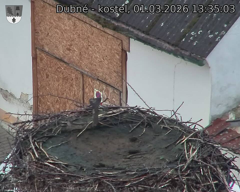 Capi_Dubne_20260301_133503.jpg (1350&nbsp;x&nbsp;1080)