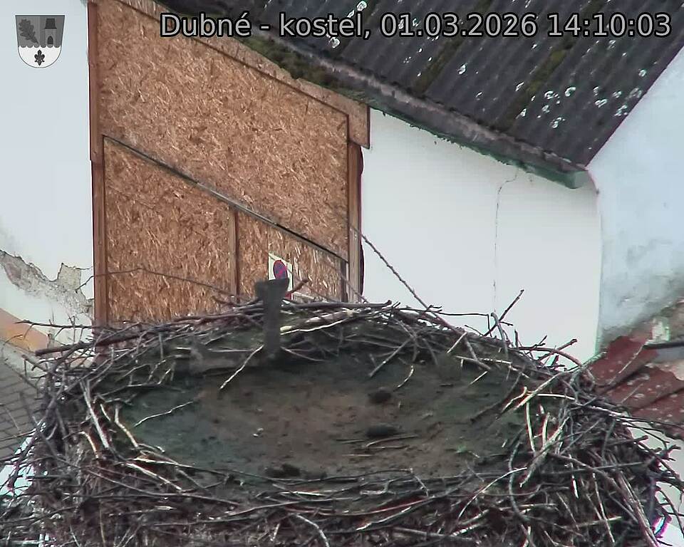 Capi_Dubne_20260301_141003.jpg (1350&nbsp;x&nbsp;1080)