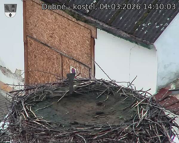 Capi_Dubne_20260301_141003.jpg (1350&nbsp;x&nbsp;1080)